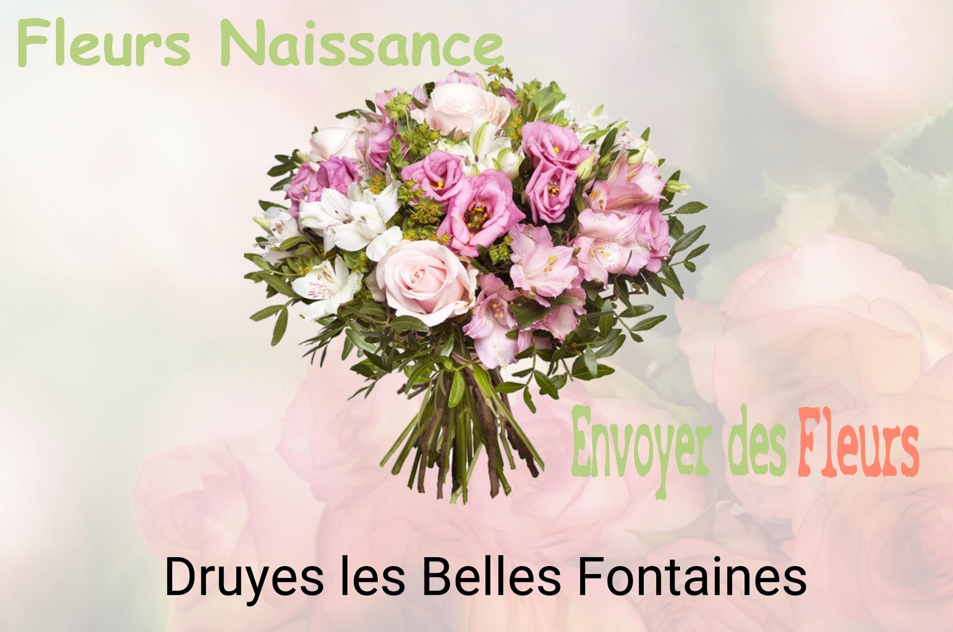 Bouquet de fleurs de naissance livré à Druyes-les-Belles-Fontaines