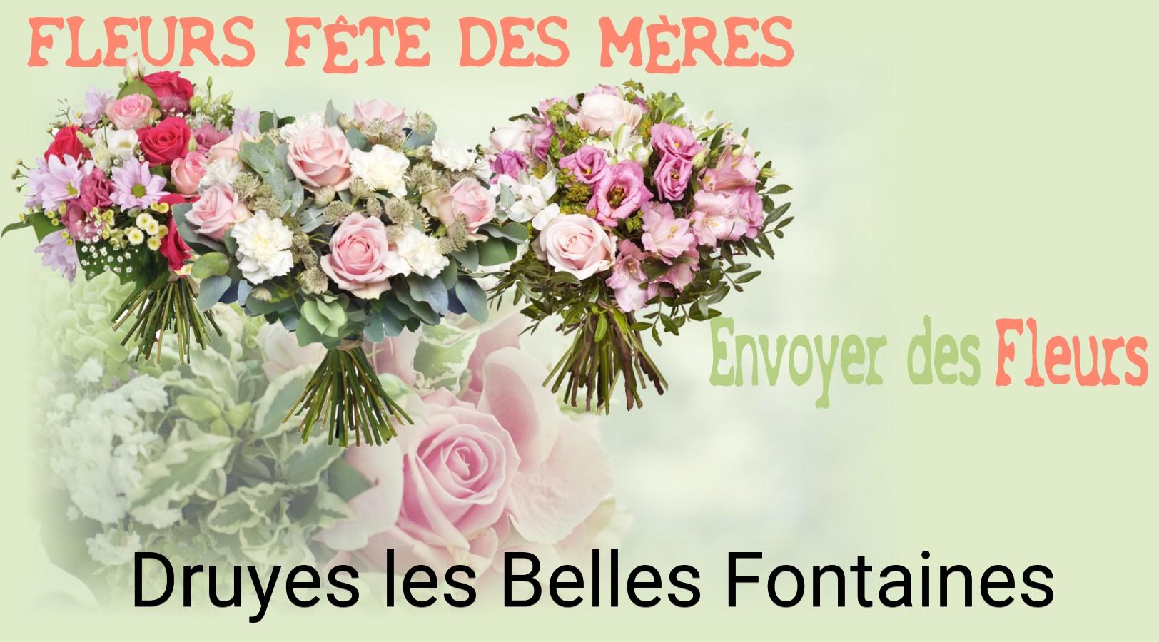 Bouquet de Fête des Mères livré à Druyes-les-Belles-Fontaines