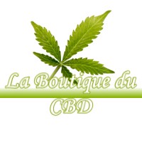 LA BOUTIQUE DU CBD DRUYES-LES-BELLES-FONTAINES 